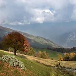 The Mountain Nest