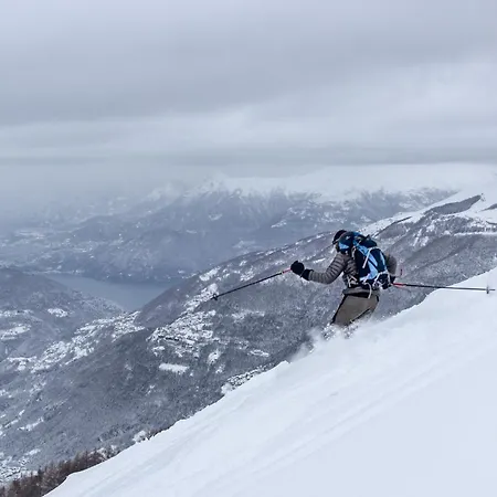 The Mountain Nest