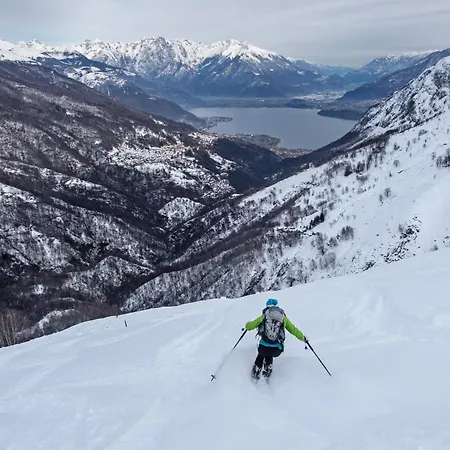 The Mountain Nest