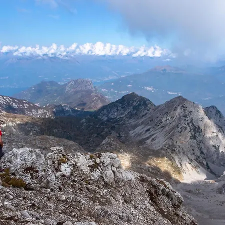 The Mountain Nest